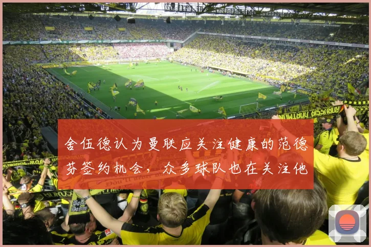 舍伍德认为曼联应关注健康的范德芬签约机会，众多球队也在关注他